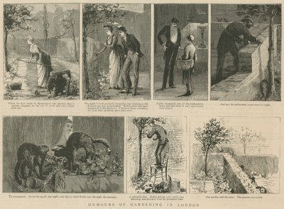 Humor des Gärtnerns in London von English School