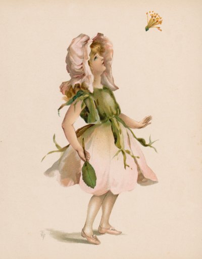 Illustration für Die Sprache der Blumen von English School