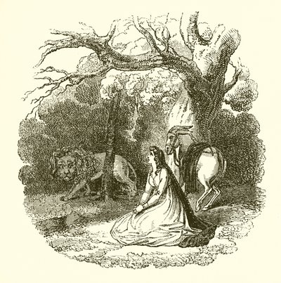 Illustration der Faery Queene von English School