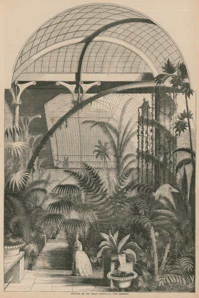 Innenansicht des Großen Palmarums, Kew Gardens, London von English School