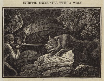 Unerschrockene Begegnung mit einem Wolf von English School