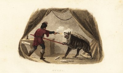 James Bruce tötet eine Hyäne mit Pistole und Pike in seinem Zelt in Maitsha, Abessinien (nahe Gondar, Äthiopien) von English School