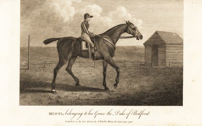 Jockey auf dem berühmten Vollblut-Rennpferd Mufti, im Besitz seiner Gnaden, des Herzogs von Bedford von English School