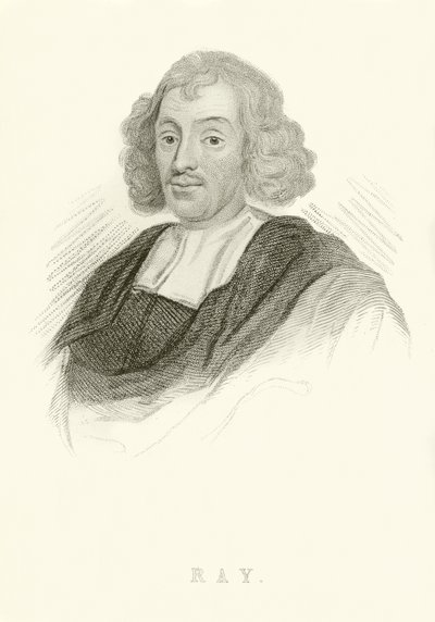 John Ray von English School
