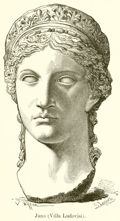 Juno von English School