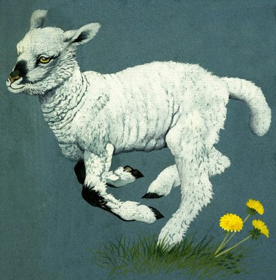 Lamm von English School