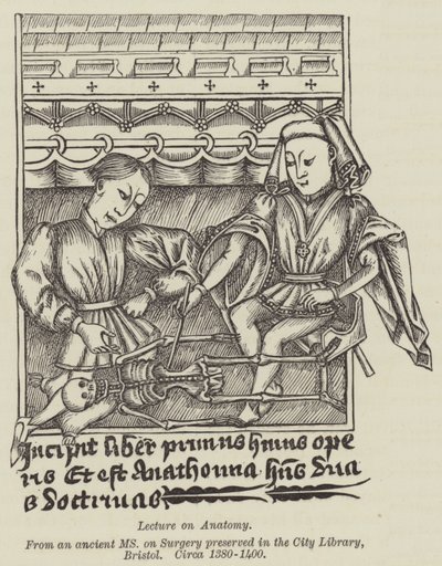Vorlesung über Anatomie von English School