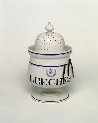 Blutegelglas von English School