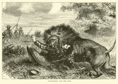 Livingstone und der Löwe von English School