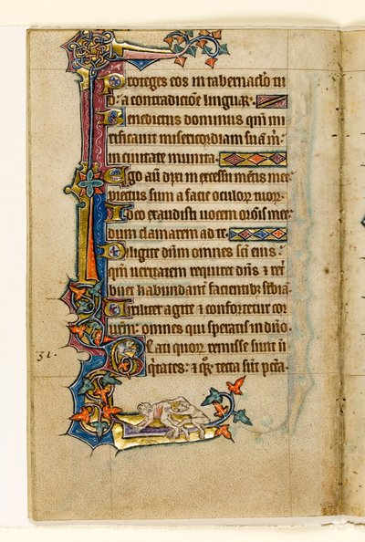 MS 1-2005, fol. 45v: Ein Affe, der in den Hintern eines Mannes schaut, Randdekoration aus dem Macclesfield Psalter, Use of Sarum, Ostanglien, um 1330 von English School