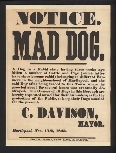 Warnung vor tollwütigem Hund, Hartlepool, 1843 von English School
