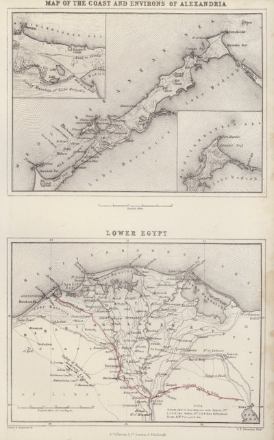 Karte: Küste und Umgebung von Alexandria; Unterägypten von English School