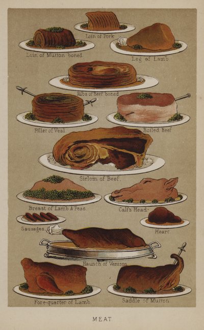 Fleisch von English School