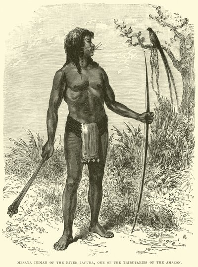 Mesaya-Indianer vom Fluss Japura, einem Nebenfluss des Amazonas von English School