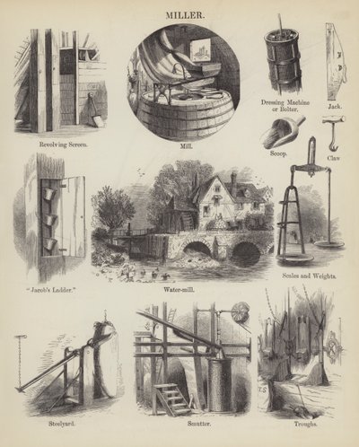 Müller (Gravur) von English School