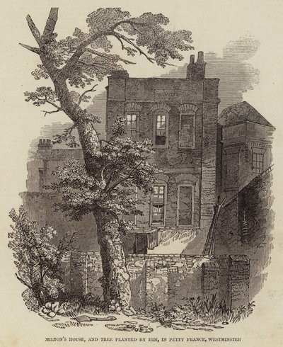 Miltons Haus und von ihm gepflanzter Baum in Petty France, Westminster (Gravur) von English School