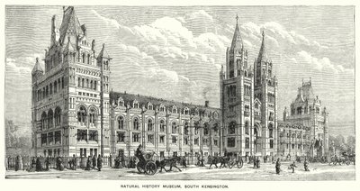 Naturhistorisches Museum, South Kensington von English School