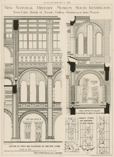 Neues Naturhistorisches Museum, South Kensington, London von English School