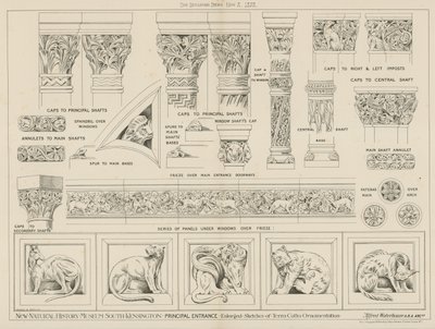 Neues Naturhistorisches Museum, South Kensington, London von English School