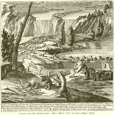 Niagara und die Biberdämme von English School