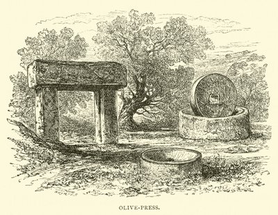 Ölpresse von English School
