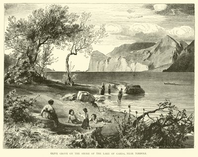 Olivenhain am Ufer des Gardasees, nahe Torbole von English School