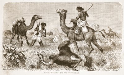 Straußenjagd - das Ende der Jagd, Illustration aus der Bildausgabe des Lebens und der Entdeckungen von David Livingstone von J. Ewing Richie, veröffentlicht von A. Fullarton & Co., 1876 von English School