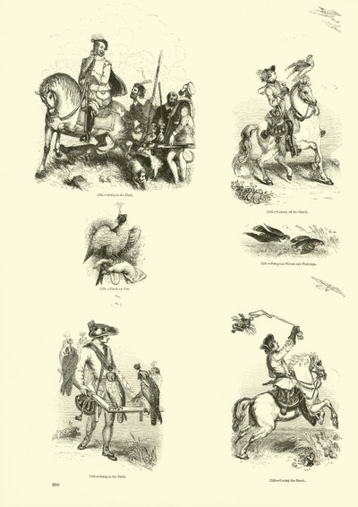 Seite aus dem Bildmuseum der belebten Natur von English School