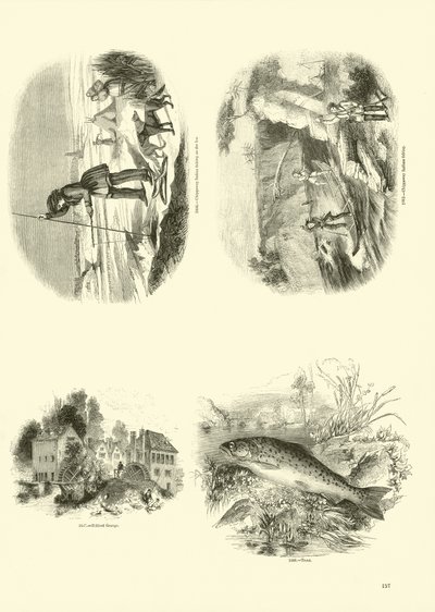 Seite aus dem Bildmuseum der belebten Natur von English School