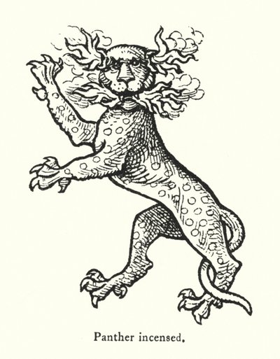 Erregter Panther (Gravur) von English School