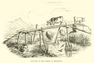 Weiden des Tals von Meyringen von English School