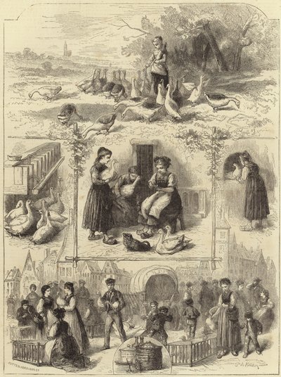 Gänseleberpastete in Straßburg von English School