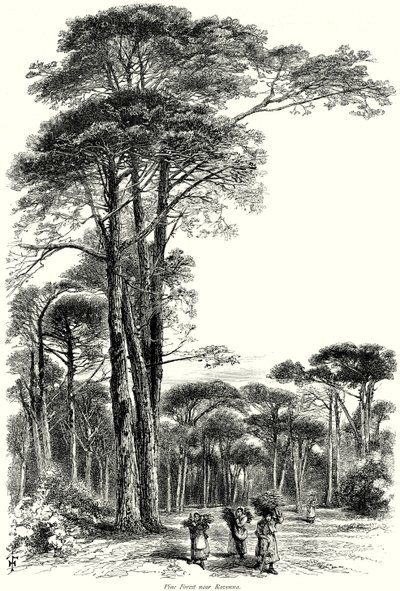 Pinienwald bei Ravenna von English School