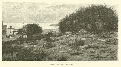 Point Koura, Malta von English School