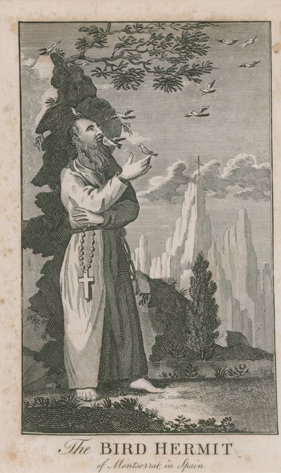 Porträt des Vogel-Einsiedlers von Montserrat von English School