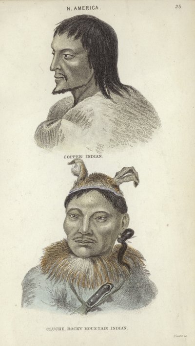 Porträts eines Kupfer-Indianers und eines Rocky-Mountain-Indianers von English School