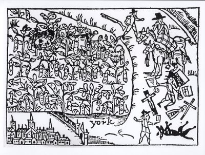 Prinz Rupert (1619-82) versteckt sich in einem Bohnenfeld in der Schlacht von Marston Moor am 2. Juli 1644 von English School