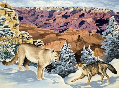Puma und Kojote treffen sich im Grand Canyon Nationalpark von English School
