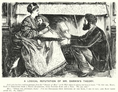 Punch-Karikatur: Eine logische Widerlegung von Mr. Darwins Theorie von English School