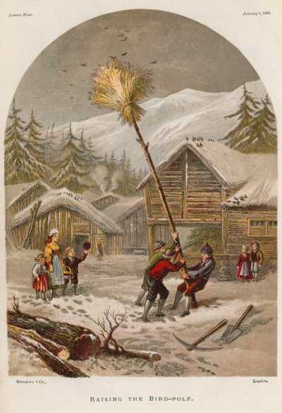 Aufstellen der Vogelstange von English School