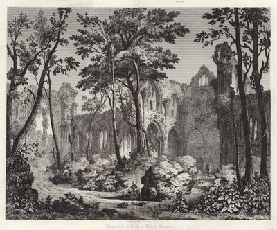 Überreste der Nelley Abbey in Hampshire von English School
