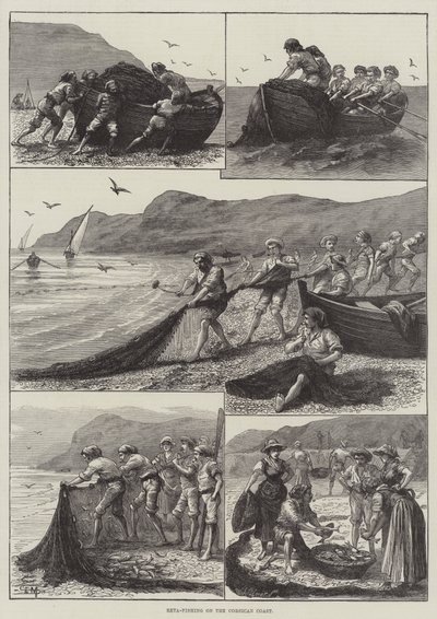 Reta-Fischen an der korsischen Küste von English School