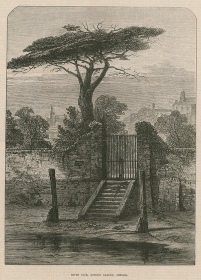 Flusstor des Botanischen Gartens von English School
