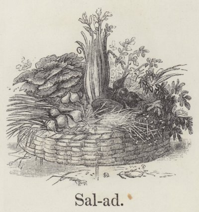 Salat (Gravur) von English School