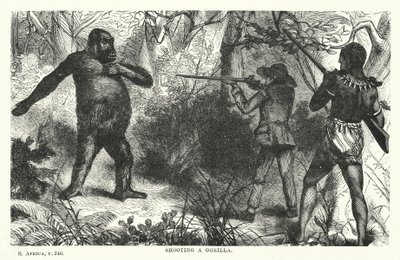 Gorilla schießen (Gravur) von English School