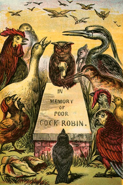 Seufzen und Schluchzen für den armen Cock Robin von English School