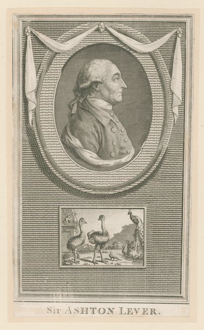 Sir Ashton Lever von English School