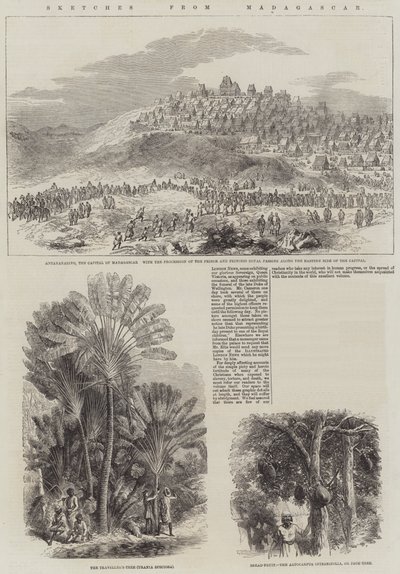 Skizzen aus Madagaskar (Gravur) von English School