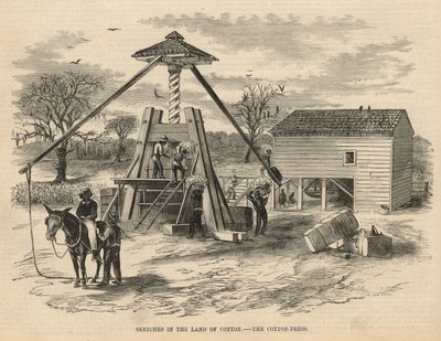 Skizzen im Land der Baumwolle - die Baumwollpresse von English School