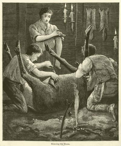 Das Häuten des Elchs (Gravur) von English School